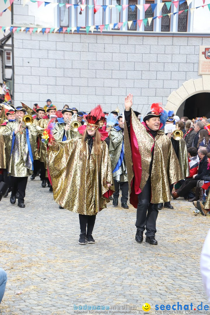 VSAN-Landschaftstreffen: Bad-Waldsee, 28.01.2018