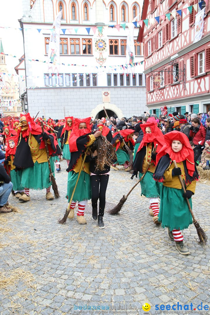 VSAN-Landschaftstreffen: Bad-Waldsee, 28.01.2018