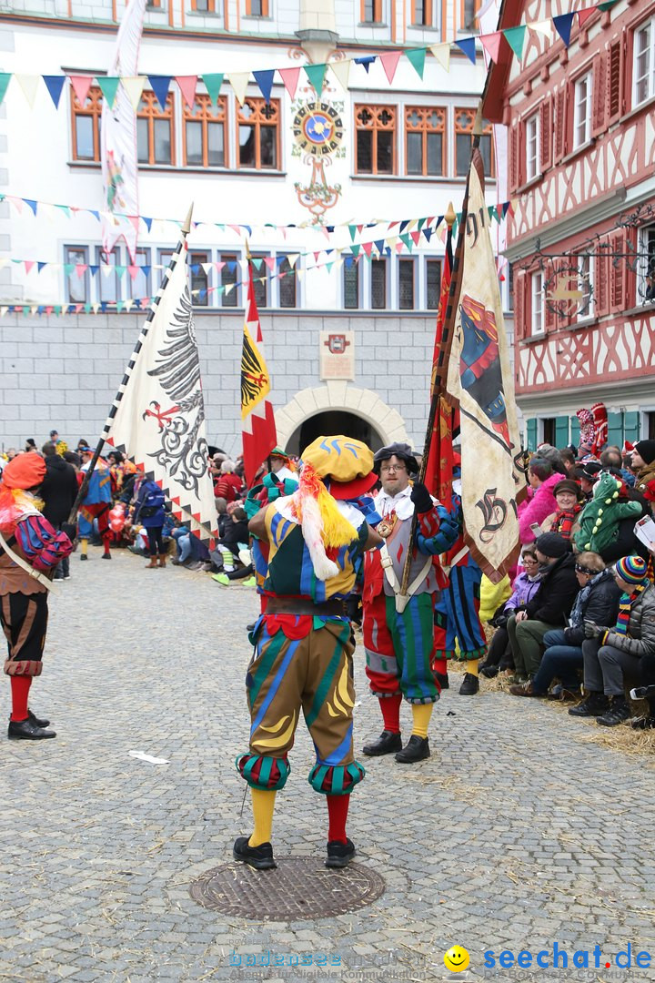 VSAN-Landschaftstreffen: Bad-Waldsee, 28.01.2018