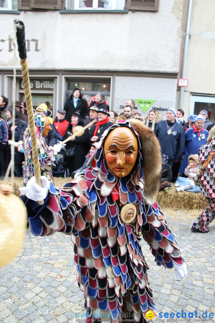 VSAN-Landschaftstreffen: Bad-Waldsee, 28.01.2018