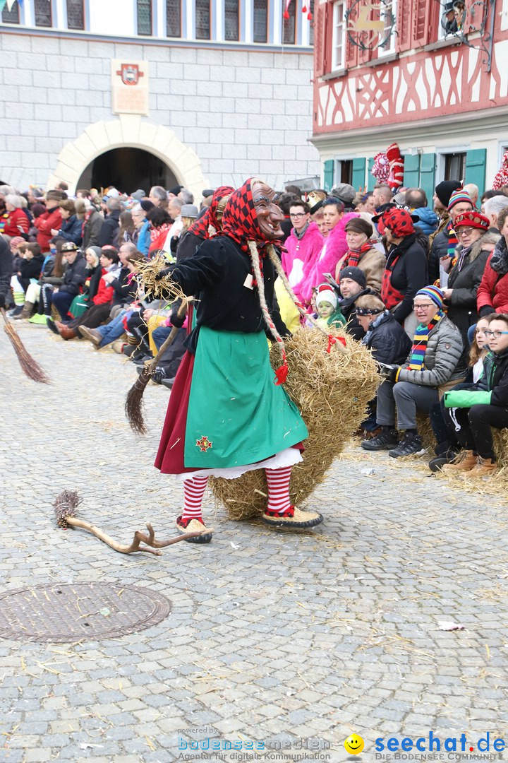 VSAN-Landschaftstreffen: Bad-Waldsee, 28.01.2018