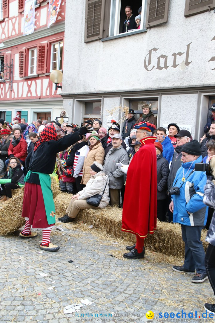 VSAN-Landschaftstreffen: Bad-Waldsee, 28.01.2018