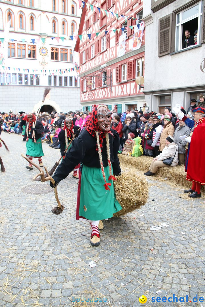 VSAN-Landschaftstreffen: Bad-Waldsee, 28.01.2018