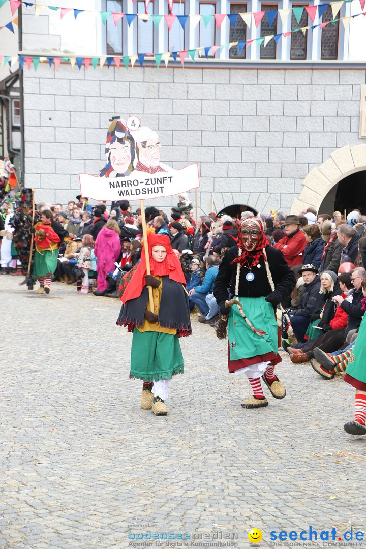 VSAN-Landschaftstreffen: Bad-Waldsee, 28.01.2018