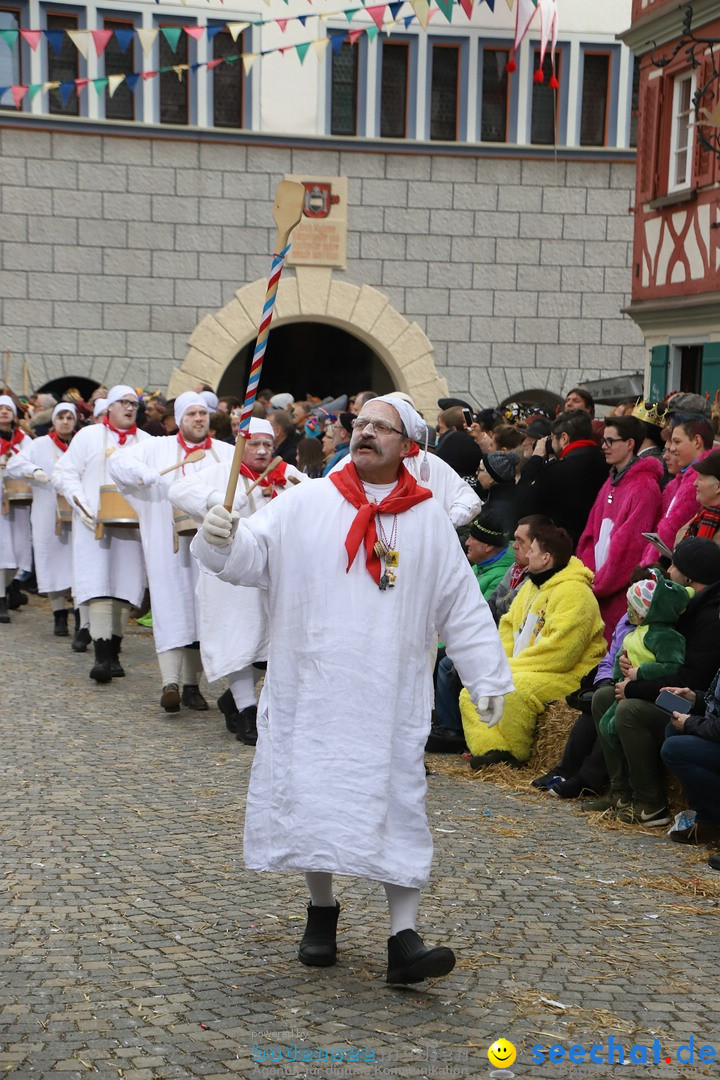 VSAN-Landschaftstreffen: Bad-Waldsee, 28.01.2018