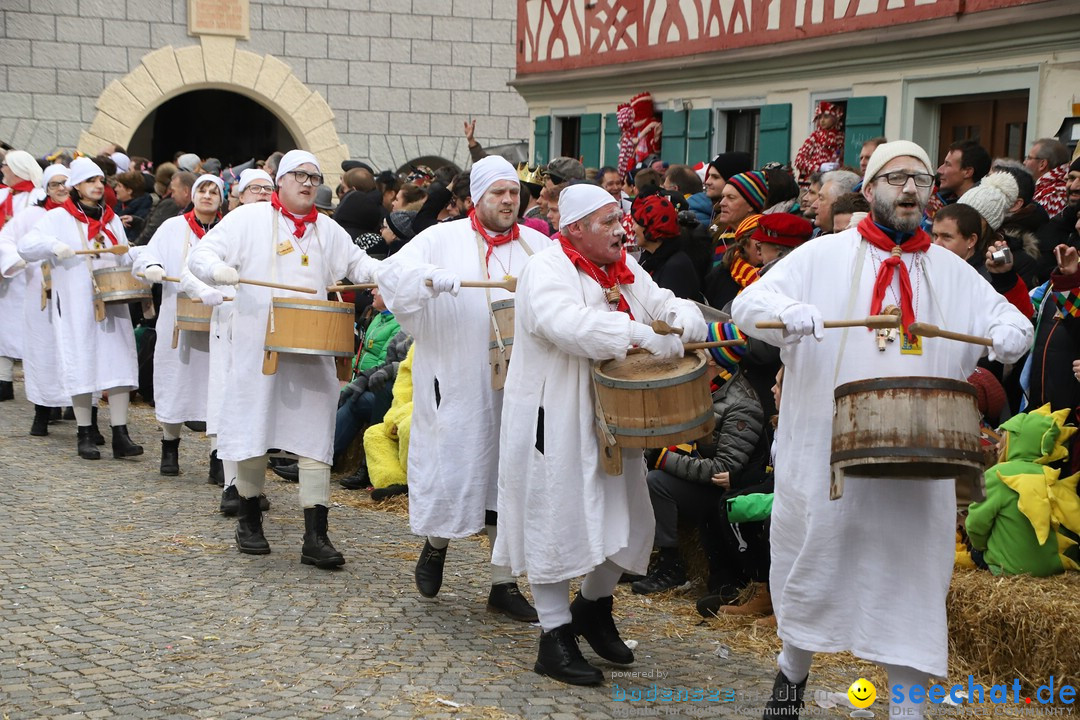 VSAN-Landschaftstreffen: Bad-Waldsee, 28.01.2018