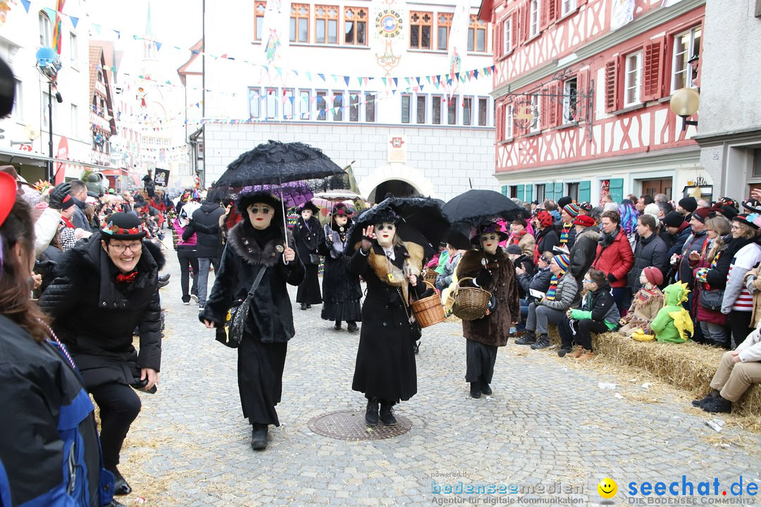 VSAN-Landschaftstreffen: Bad-Waldsee, 28.01.2018