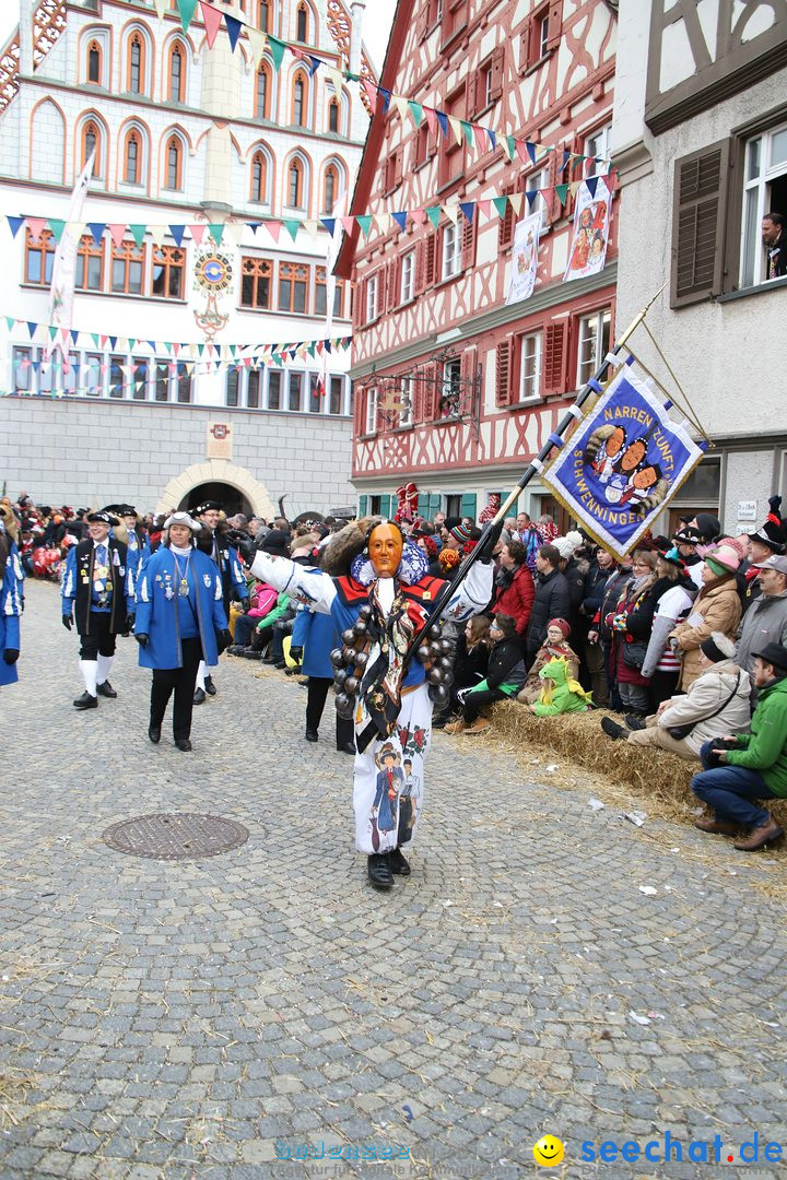 VSAN-Landschaftstreffen: Bad-Waldsee, 28.01.2018