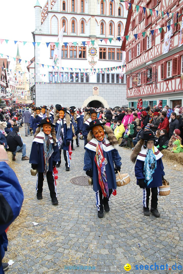 VSAN-Landschaftstreffen: Bad-Waldsee, 28.01.2018