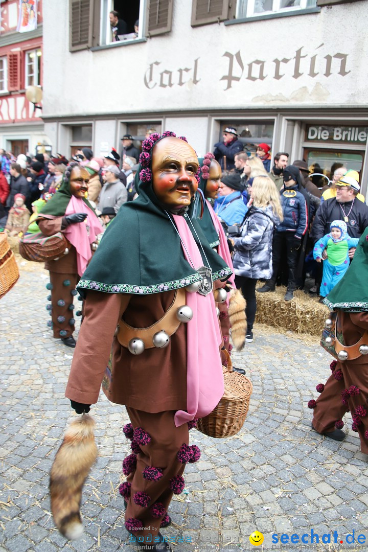 VSAN-Landschaftstreffen: Bad-Waldsee, 28.01.2018