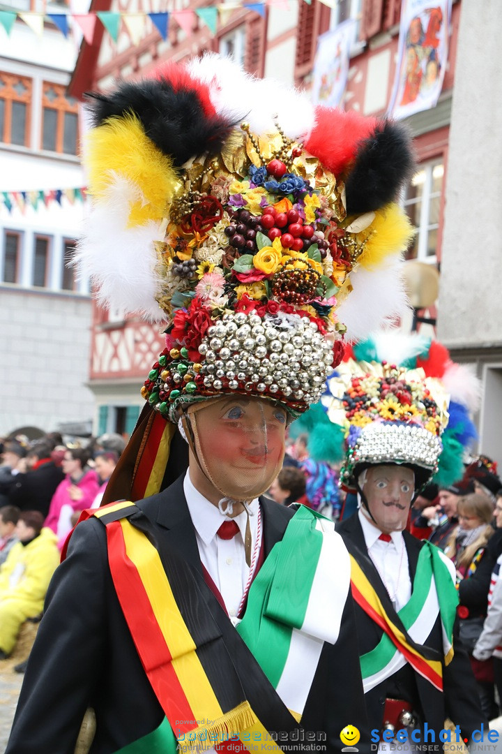 VSAN-Landschaftstreffen: Bad-Waldsee, 28.01.2018