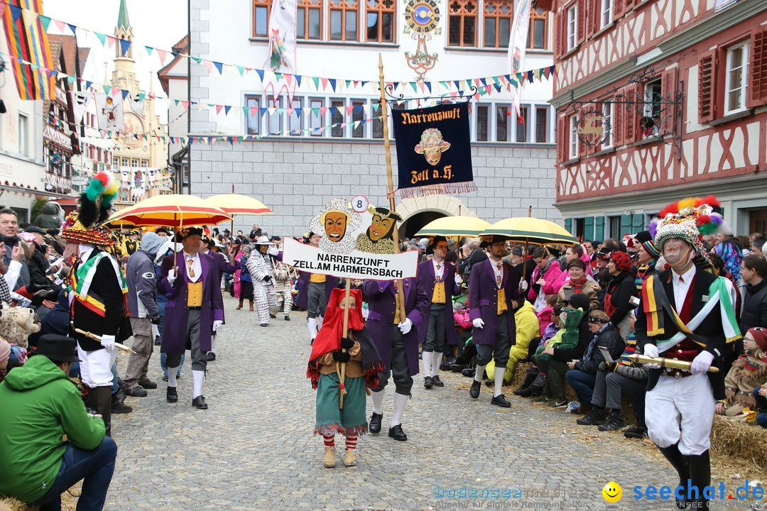 VSAN-Landschaftstreffen: Bad-Waldsee, 28.01.2018