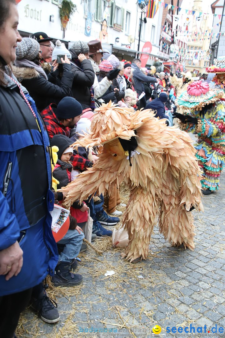 VSAN-Landschaftstreffen: Bad-Waldsee, 28.01.2018