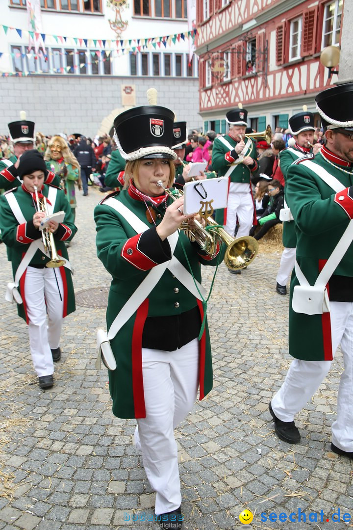 VSAN-Landschaftstreffen: Bad-Waldsee, 28.01.2018