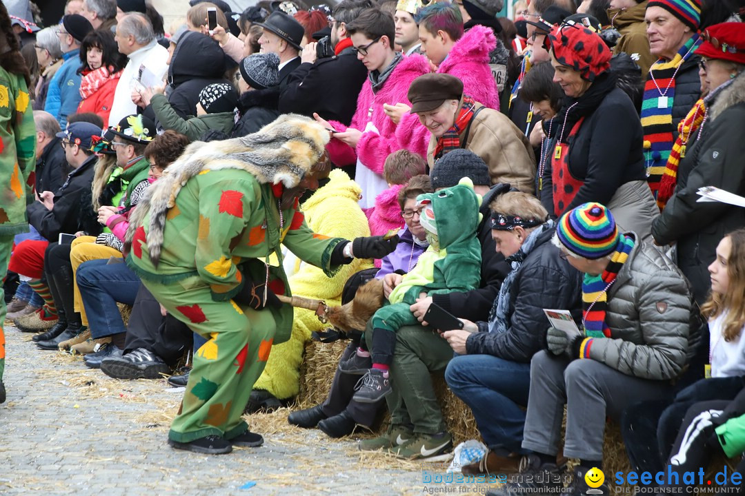 VSAN-Landschaftstreffen: Bad-Waldsee, 28.01.2018