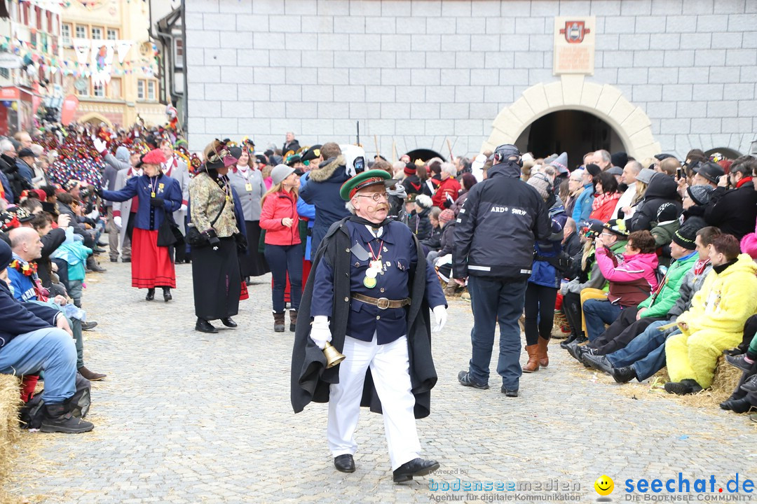 VSAN-Landschaftstreffen: Bad-Waldsee, 28.01.2018