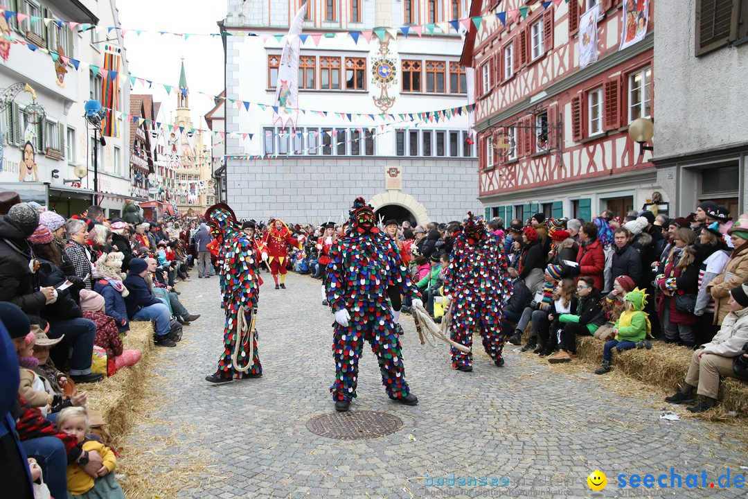 VSAN-Landschaftstreffen: Bad-Waldsee, 28.01.2018