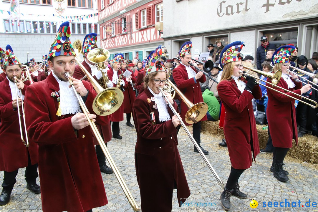 VSAN-Landschaftstreffen: Bad-Waldsee, 28.01.2018