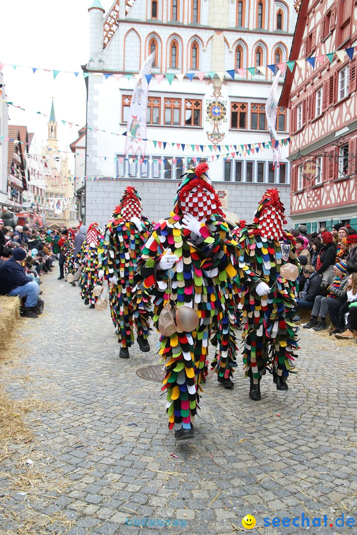 VSAN-Landschaftstreffen: Bad-Waldsee, 28.01.2018