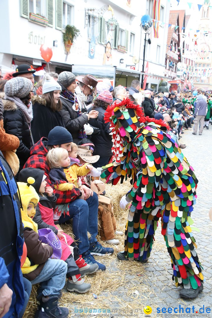 VSAN-Landschaftstreffen: Bad-Waldsee, 28.01.2018