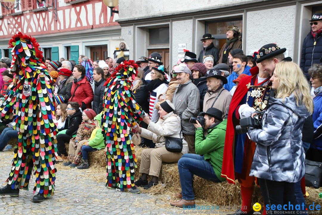 VSAN-Landschaftstreffen: Bad-Waldsee, 28.01.2018