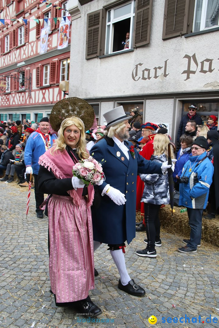 VSAN-Landschaftstreffen: Bad-Waldsee, 28.01.2018