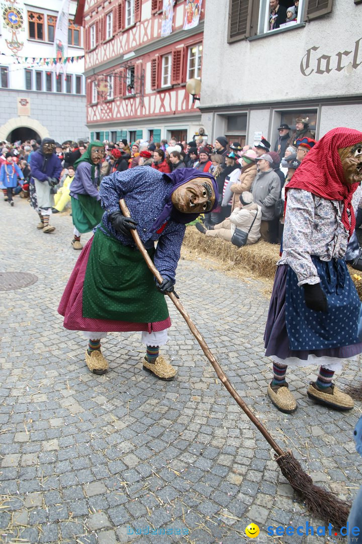 VSAN-Landschaftstreffen: Bad-Waldsee, 28.01.2018