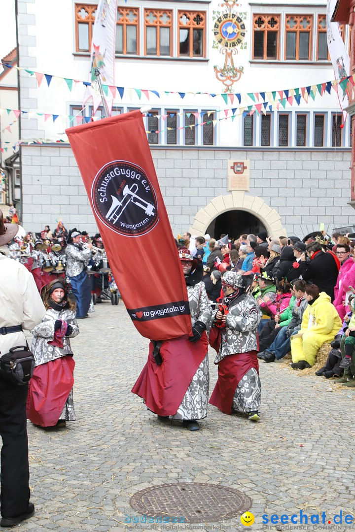 VSAN-Landschaftstreffen: Bad-Waldsee, 28.01.2018