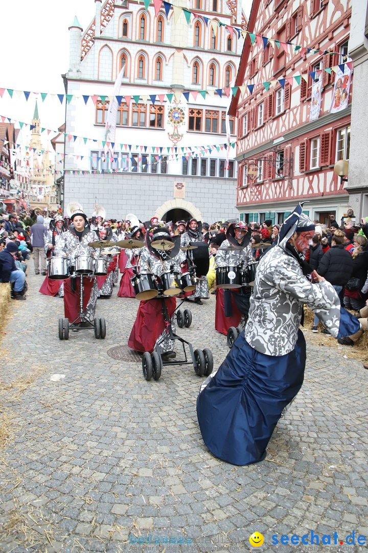 VSAN-Landschaftstreffen: Bad-Waldsee, 28.01.2018