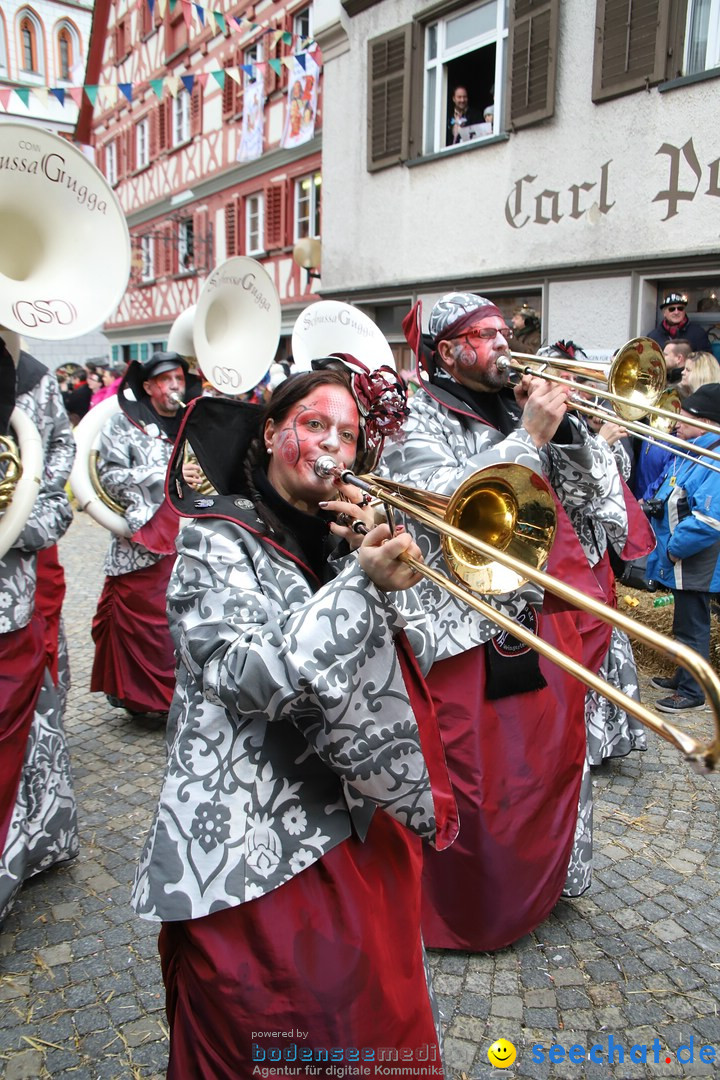 VSAN-Landschaftstreffen: Bad-Waldsee, 28.01.2018