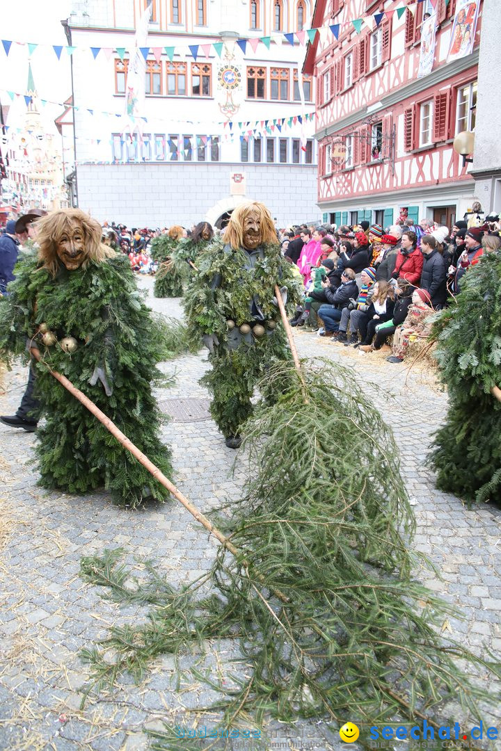 VSAN-Landschaftstreffen: Bad-Waldsee, 28.01.2018