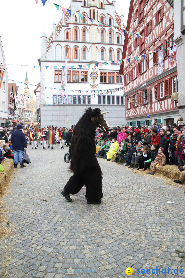 VSAN-Landschaftstreffen: Bad-Waldsee, 28.01.2018