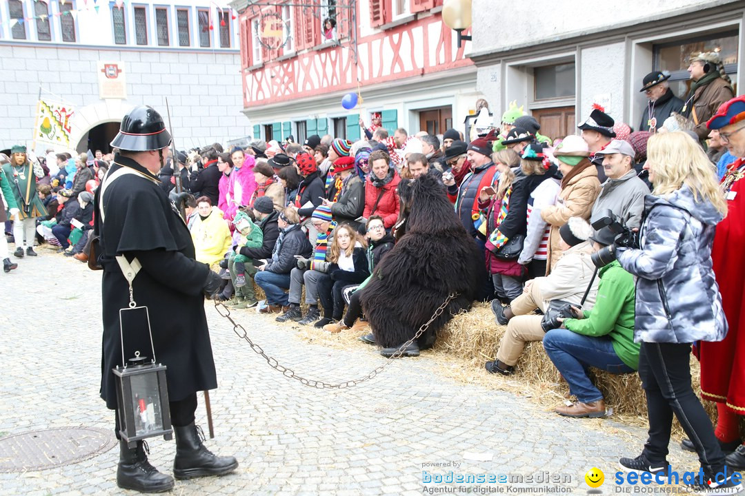 VSAN-Landschaftstreffen: Bad-Waldsee, 28.01.2018