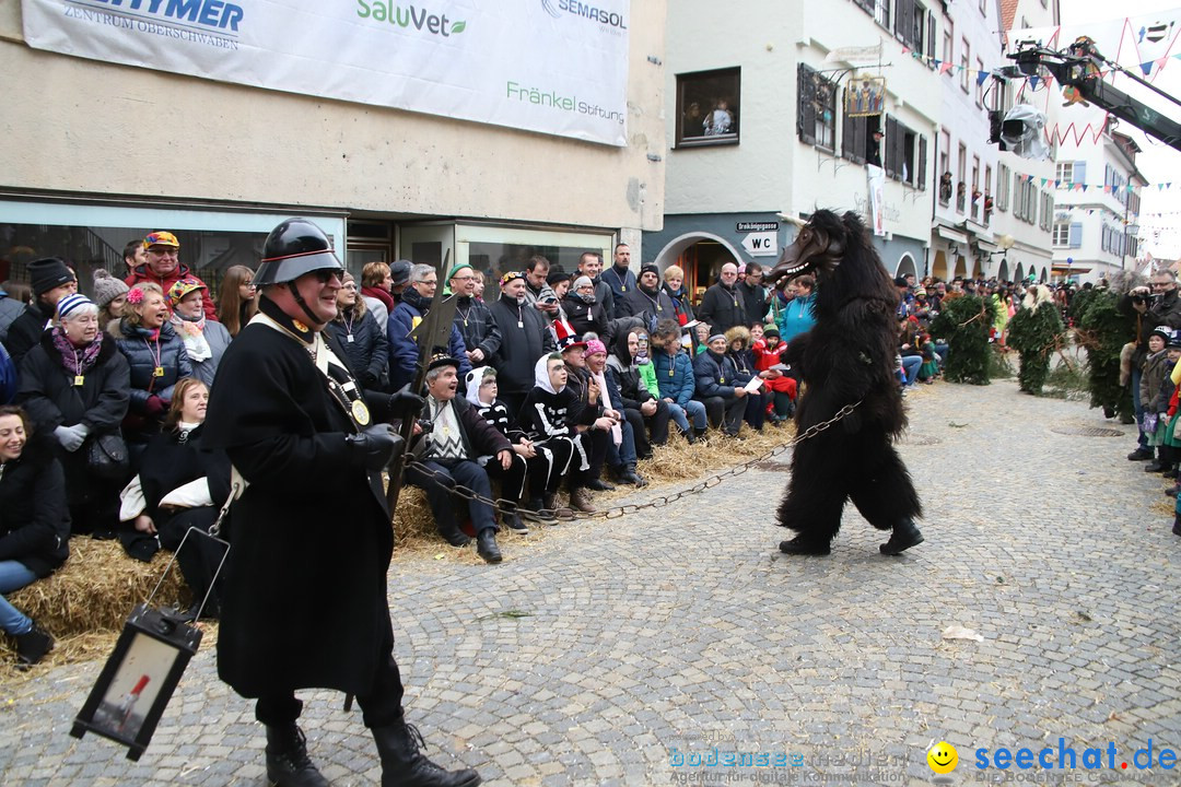 VSAN-Landschaftstreffen: Bad-Waldsee, 28.01.2018