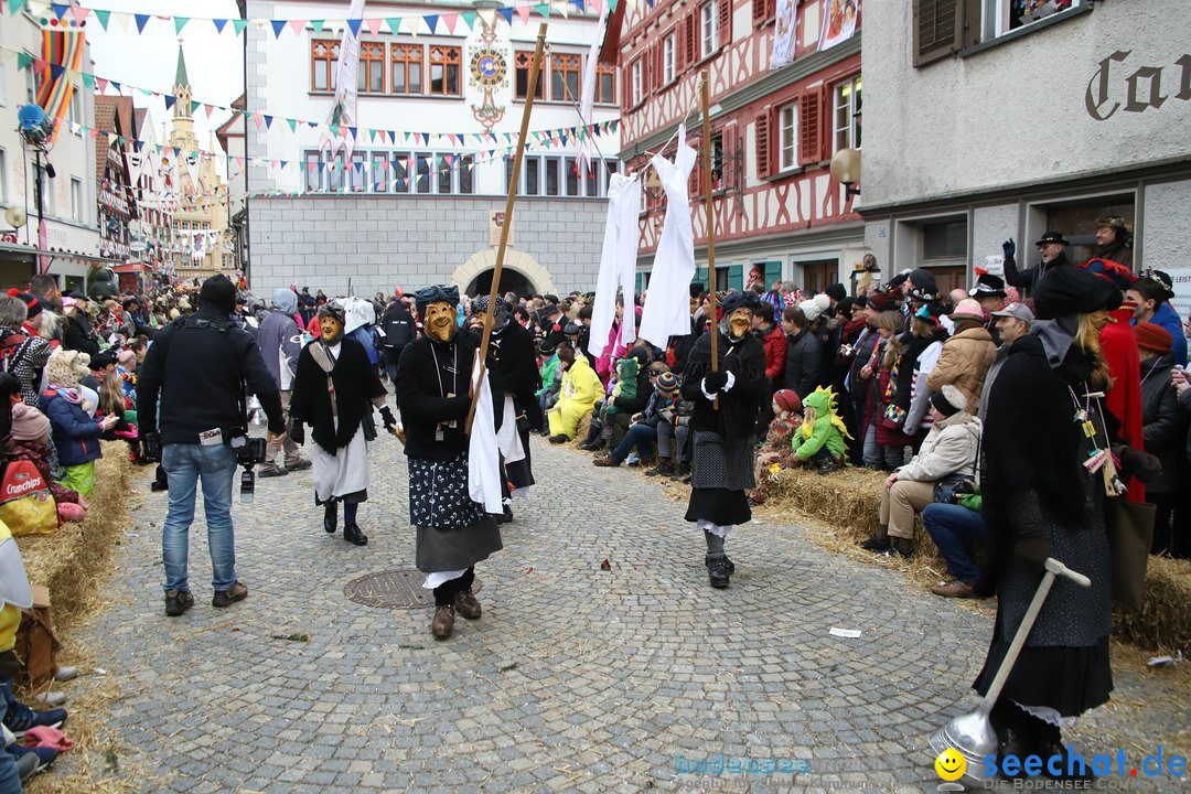 VSAN-Landschaftstreffen: Bad-Waldsee, 28.01.2018