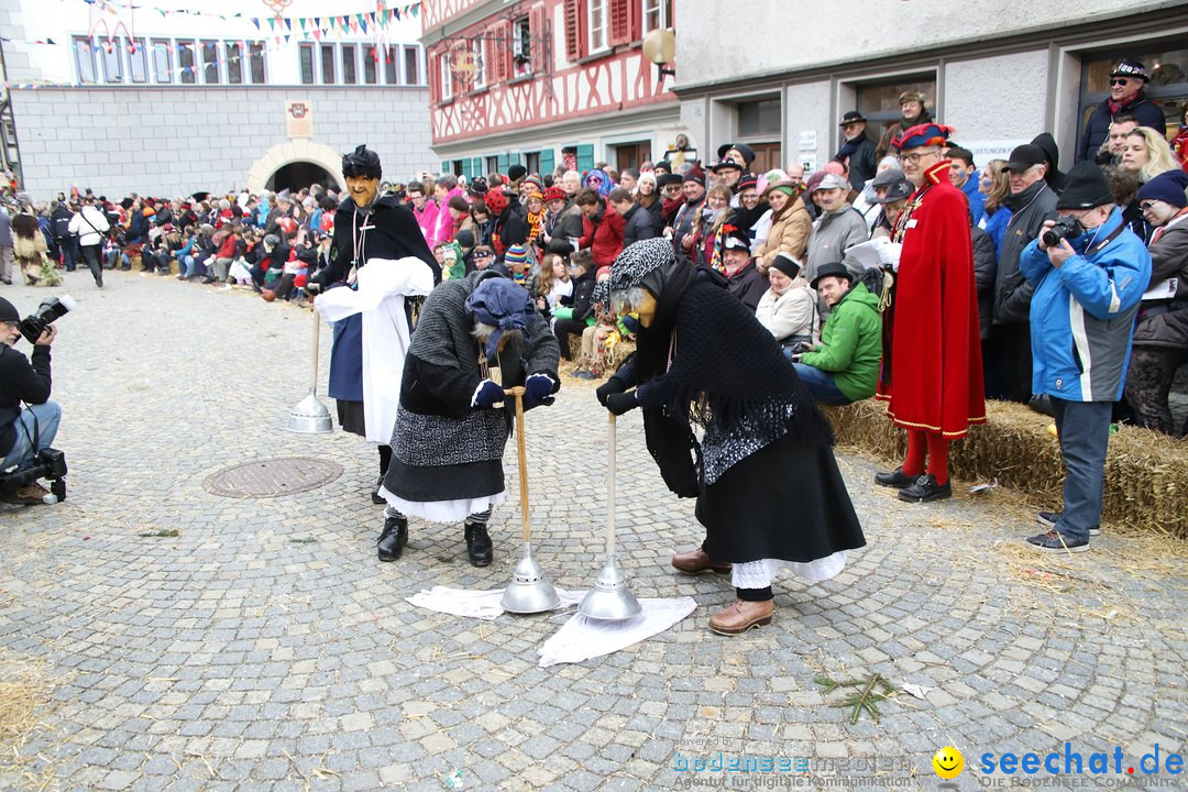 VSAN-Landschaftstreffen: Bad-Waldsee, 28.01.2018