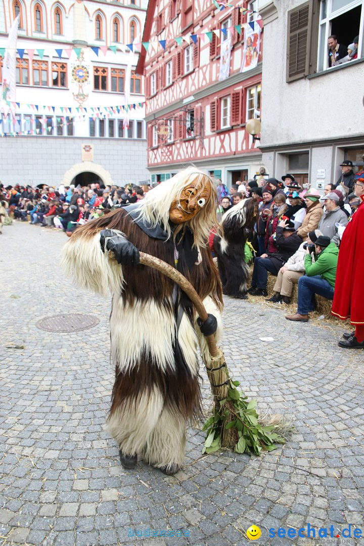 VSAN-Landschaftstreffen: Bad-Waldsee, 28.01.2018