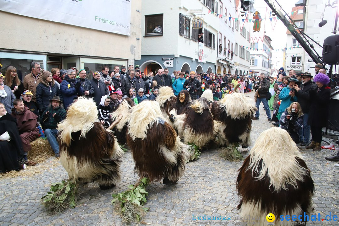 VSAN-Landschaftstreffen: Bad-Waldsee, 28.01.2018