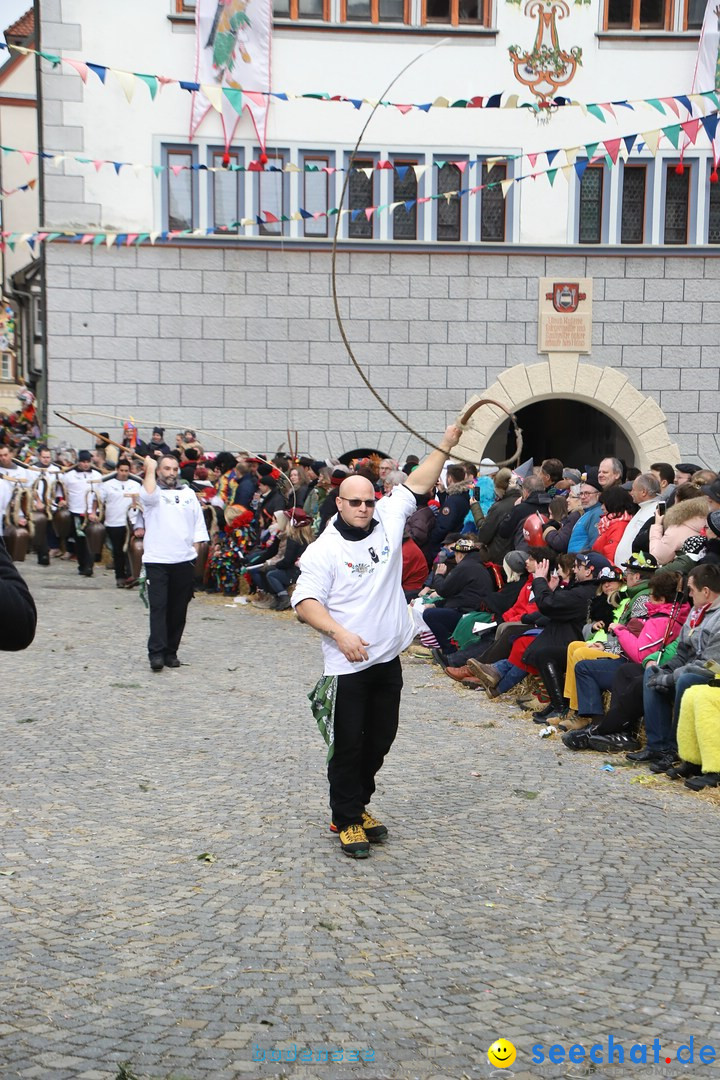 VSAN-Landschaftstreffen: Bad-Waldsee, 28.01.2018