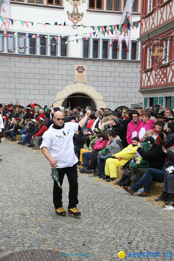 VSAN-Landschaftstreffen: Bad-Waldsee, 28.01.2018