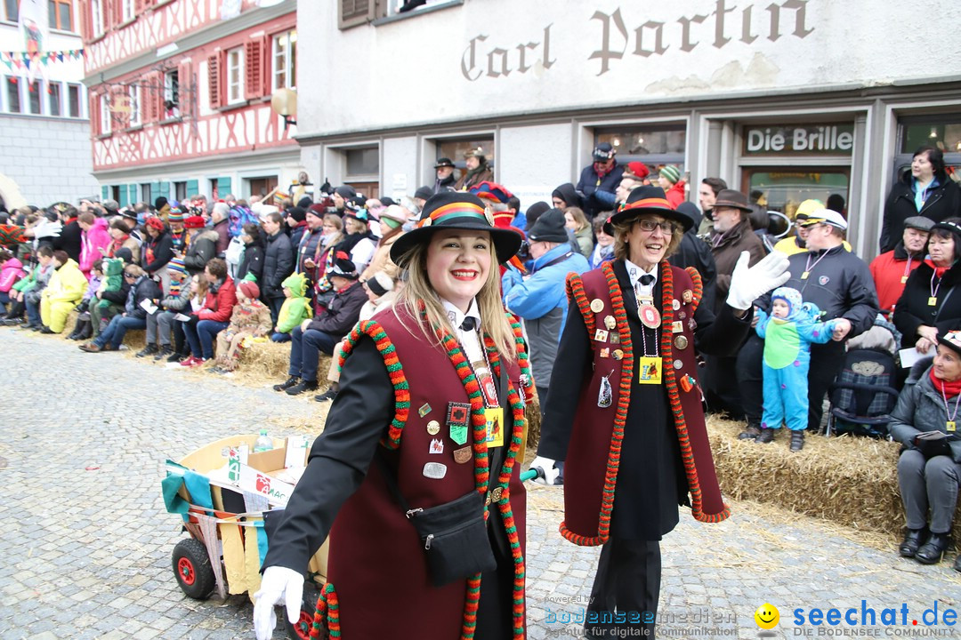 VSAN-Landschaftstreffen: Bad-Waldsee, 28.01.2018