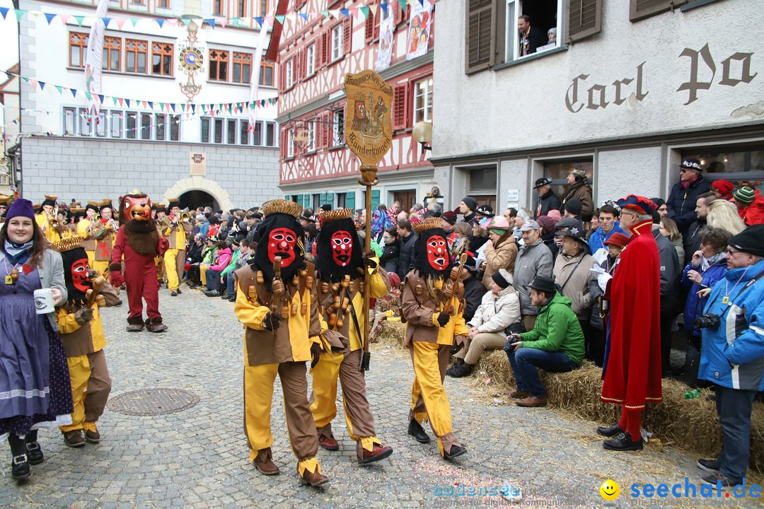 VSAN-Landschaftstreffen: Bad-Waldsee, 28.01.2018