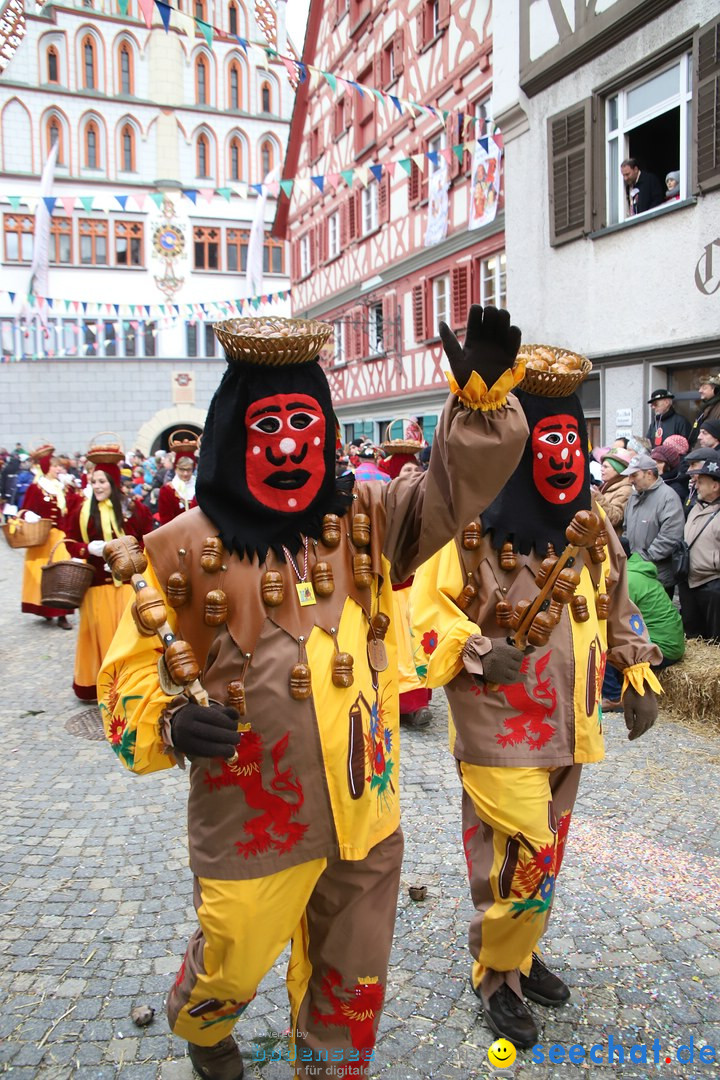 VSAN-Landschaftstreffen: Bad-Waldsee, 28.01.2018