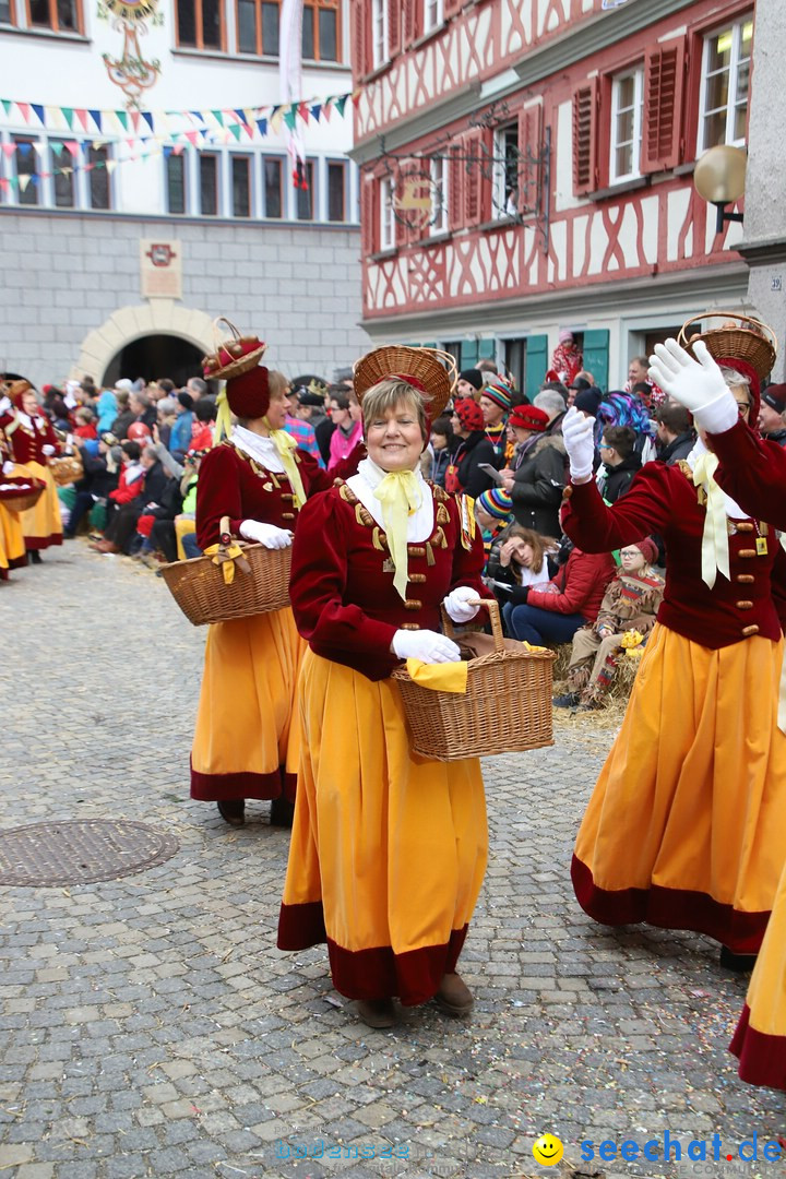 VSAN-Landschaftstreffen: Bad-Waldsee, 28.01.2018