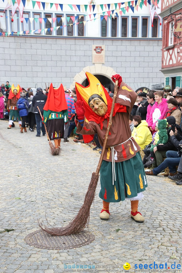 VSAN-Landschaftstreffen: Bad-Waldsee, 28.01.2018