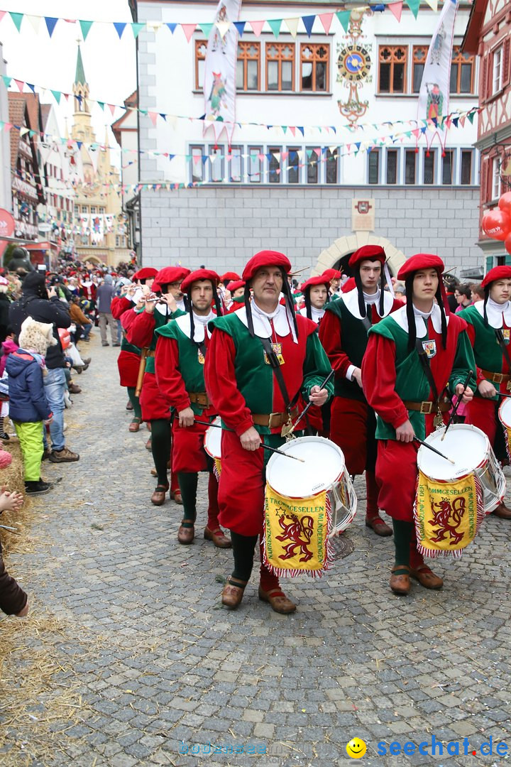 VSAN-Landschaftstreffen: Bad-Waldsee, 28.01.2018