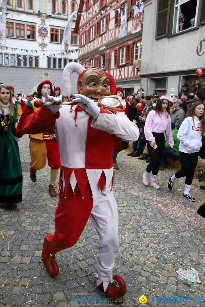 VSAN-Landschaftstreffen: Bad-Waldsee, 28.01.2018