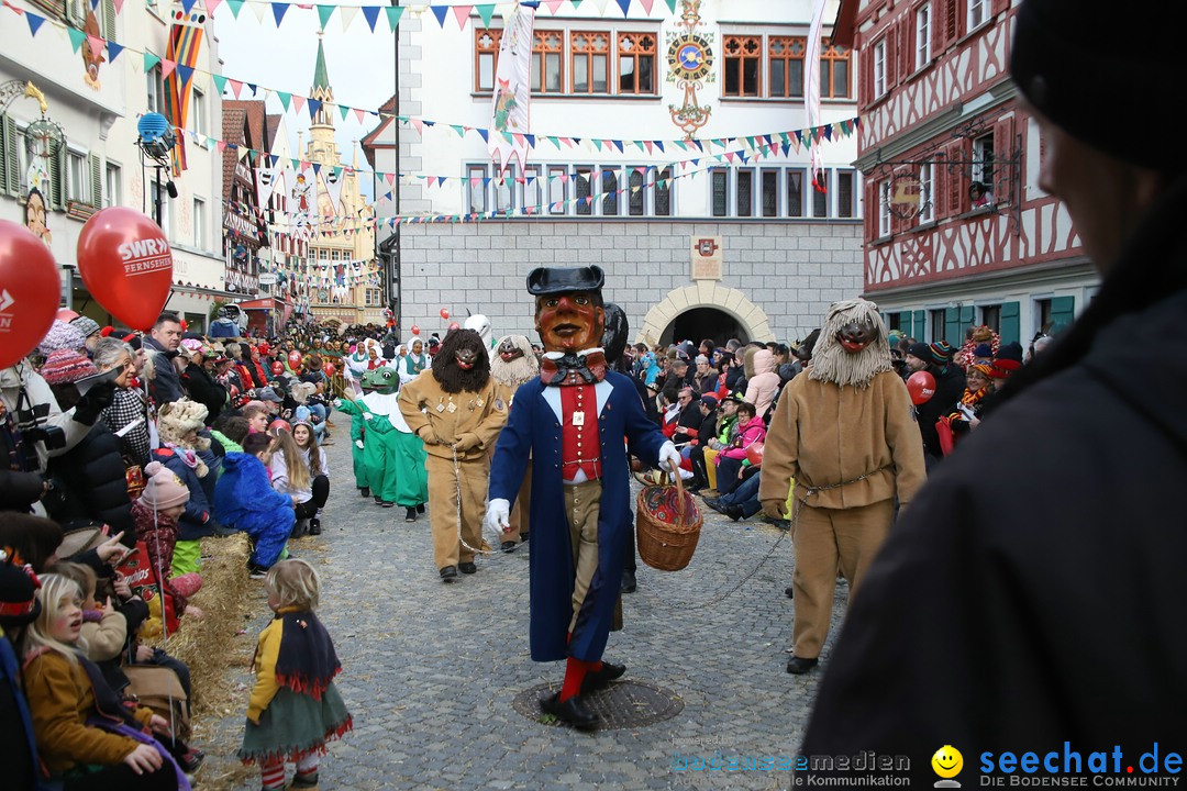 VSAN-Landschaftstreffen: Bad-Waldsee, 28.01.2018