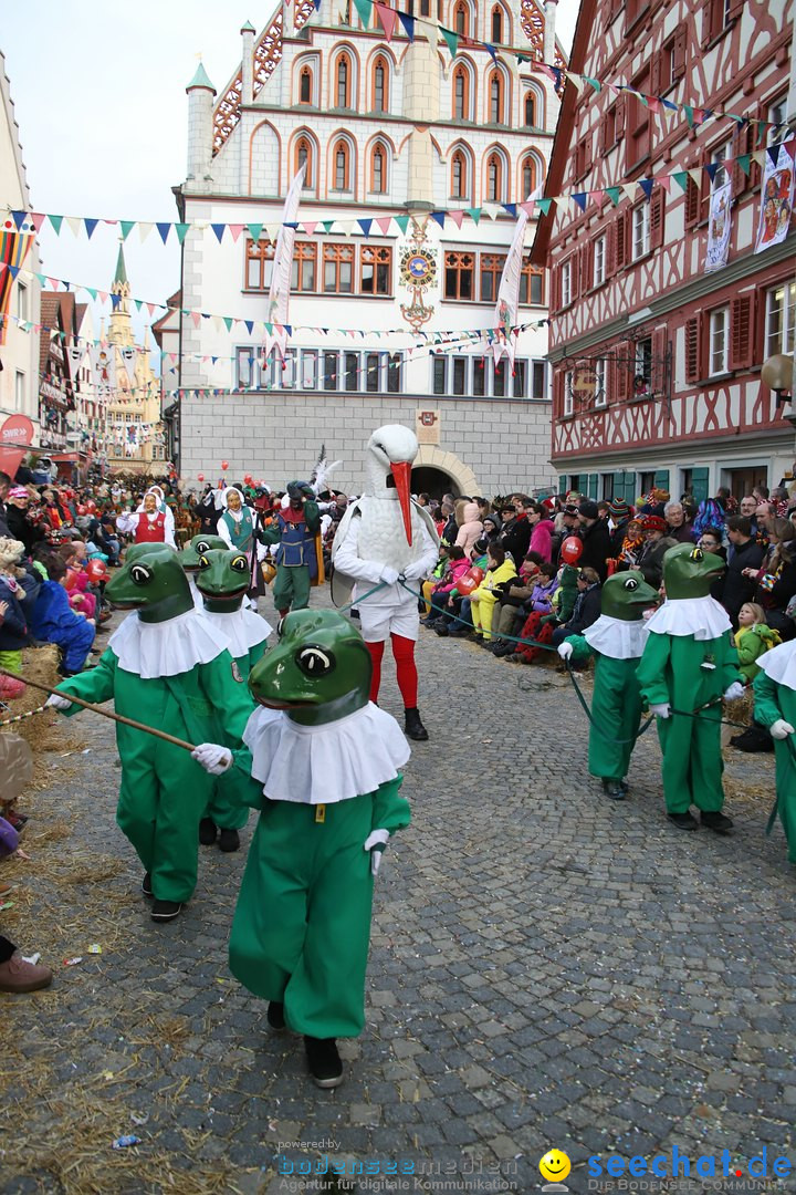 VSAN-Landschaftstreffen: Bad-Waldsee, 28.01.2018