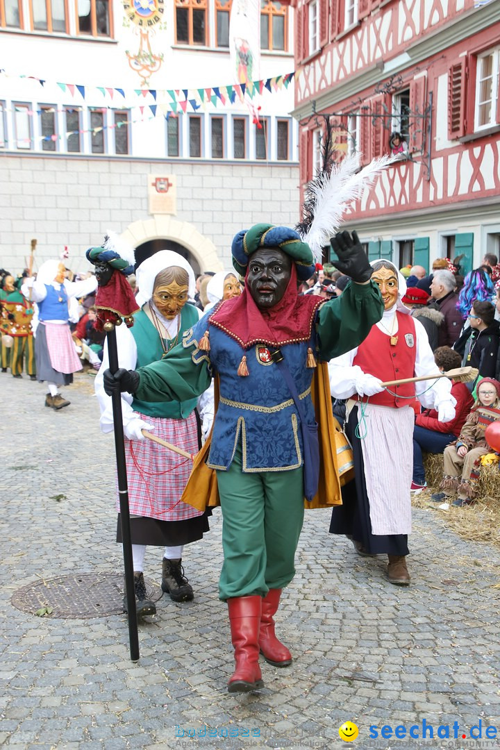 VSAN-Landschaftstreffen: Bad-Waldsee, 28.01.2018